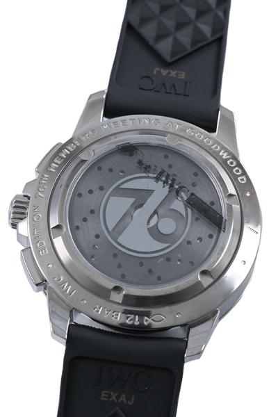 IWC Ingenieur IW381201